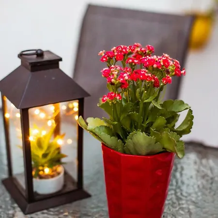 Mantisses 3 Appartement