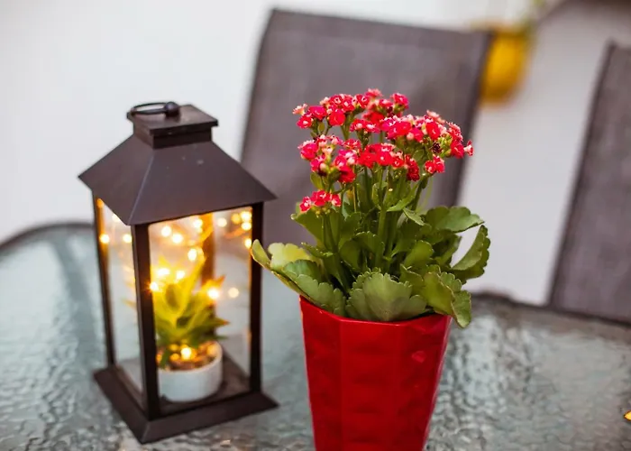 Mantisses 3 Apartment